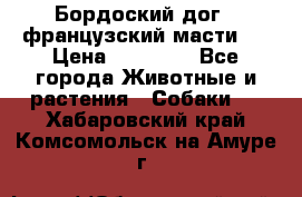 Бордоский дог ( французский масти)  › Цена ­ 50 000 - Все города Животные и растения » Собаки   . Хабаровский край,Комсомольск-на-Амуре г.